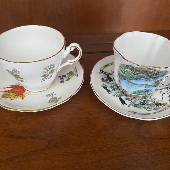 Royal Consort and Royal Darwood Canada related cup&saucer - Picture 1 of 10